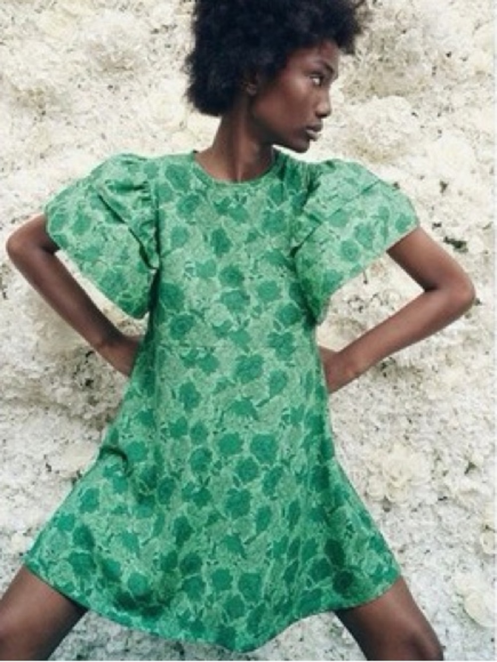 ZARA | Ruffle Flutter Sleeve Mini Shift Dress - Picture 13 of 16